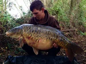 Steve Newman Eclipse Baits